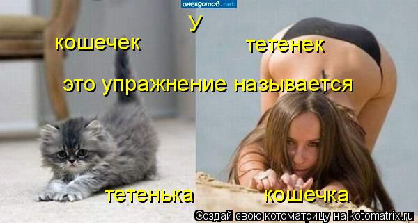 У кошечек тетенек тетенька ... Котоматрица: У кошечек тетенек тетенька кошечка это упражнение называется