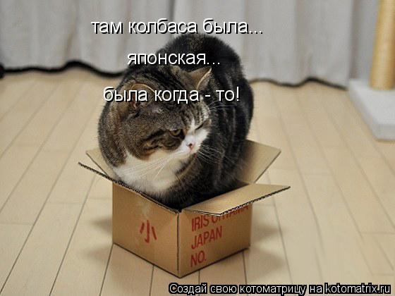 там колбаса была... японская... была когда - то!... Котоматрица: там колбаса была... японская... была когда - то!