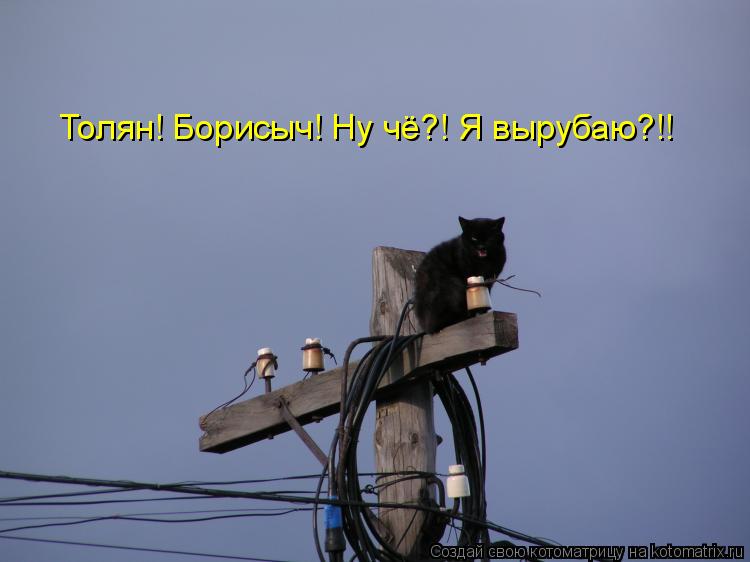 Толян! Борисыч! Ну чё?! Я вырубаю?!!... Котоматрица: Толян! Борисыч! Ну чё?! Я вырубаю?!!