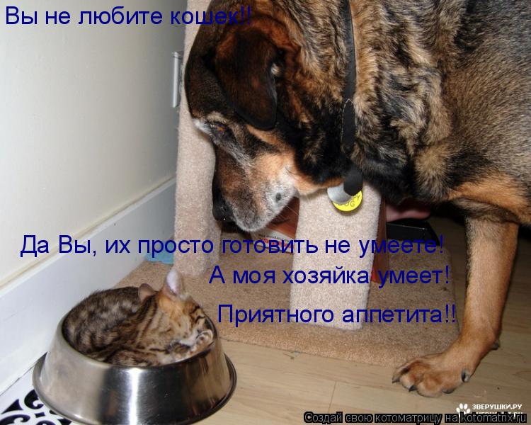 Вы не любите кошек!! Да Вы, их просто готовить не умеете! А моя хозяйка умеет! Приятного аппетита!... Котоматрица: Вы не любите кошек!! Да Вы, их просто готовить не умеете! А моя хозяйка умеет! Приятного аппетита!!