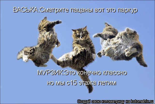 ВАСЬКА:Сматрите пацаны вот это паркур МУРЗИК:Это конечно классно но мы с15 этажа летим... Котоматрица: ВАСЬКА:Сматрите пацаны вот это паркур МУРЗИК:Это конечно классно но мы с15 этажа летим