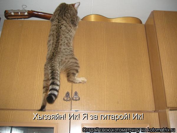 Хыззяйн! Ик! Я за гитарой! Ик!... Котоматрица: Хыззяйн! Ик! Я за гитарой! Ик!