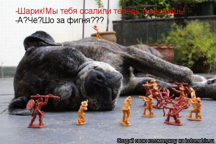 -Шарик!Мы тебя осалили теперь ты водишь! -А?Чё?Шо за фигня???... Котоматрица: -Шарик!Мы тебя осалили теперь ты водишь! -А?Чё?Шо за фигня???