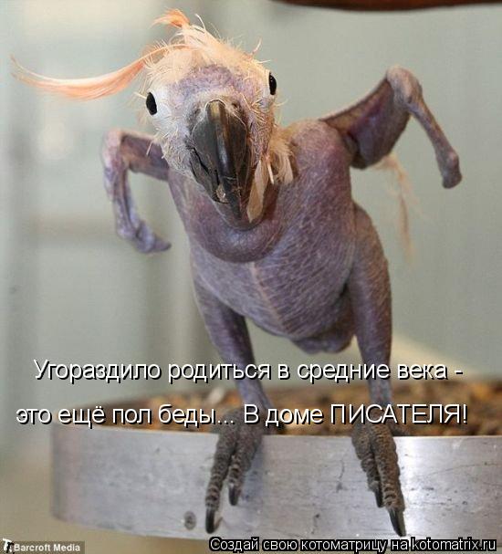 Угораздило родиться в средние века - это ещё пол беды... В доме ПИСАТЕЛЯ!... Котоматрица: Угораздило родиться в средние века - это ещё пол беды... В доме ПИСАТЕЛЯ!