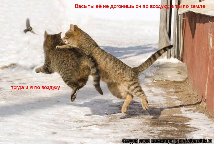 Вась ты её не догонишь он по воздуху, а ты по земле тогда и я по воздуху... Котоматрица: Вась ты её не догонишь он по воздуху, а ты по земле тогда и я по воздуху