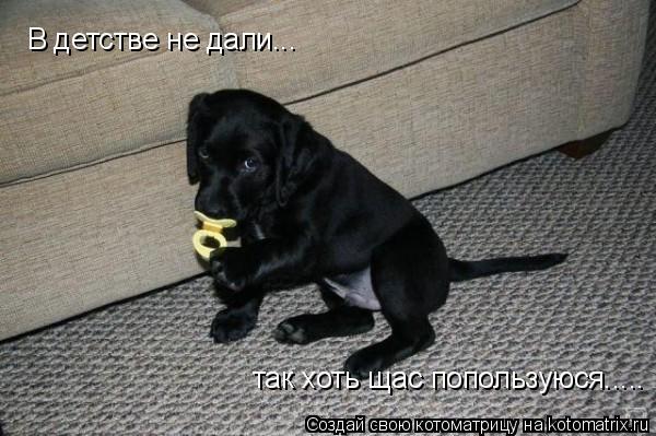 В детстве не дали... так хоть щас попользуюся........ Котоматрица: В детстве не дали... так хоть щас попользуюся.....