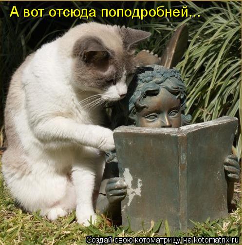 А вот отсюда поподробней...... Котоматрица: А вот отсюда поподробней...