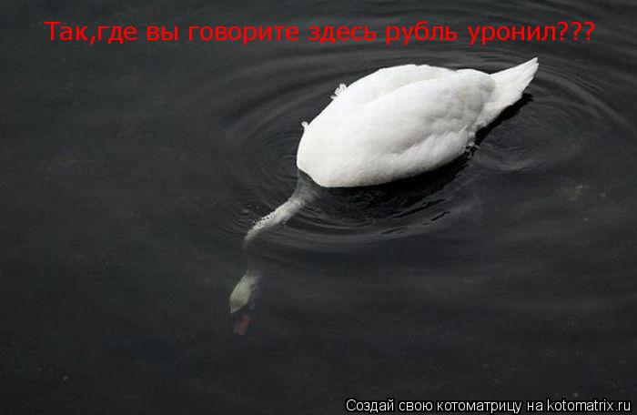 Так,где вы говорите здесь рубль уронил???... Котоматрица: Так,где вы говорите здесь рубль уронил???