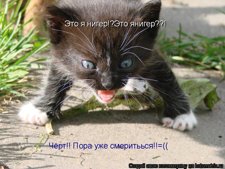 Котоматрица: Это я нигер!?Это янигер??! Чёрт!! Пора уже смеритьься!!=((
