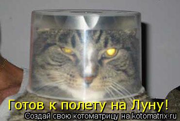 Готов к полету на Луну!... Котоматрица: Готов к полету на Луну!