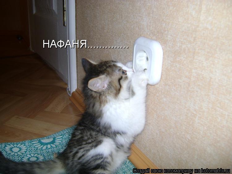 НАФАНЯ................. Котоматрица: НАФАНЯ..............