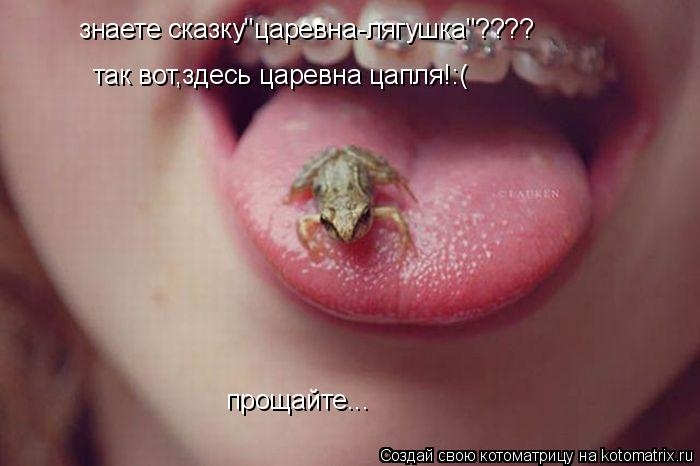 знаете сказку"царевна-лягушка"???? так вот,здесь царевна цапля!:( прощайте...... Котоматрица: знаете сказку"царевна-лягушка"???? так вот,здесь царевна цапля!:( прощайте...
