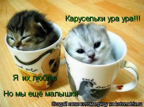 Карусельки ура ура!!! Я их люблю Но мы ещё малышки... Котоматрица: Карусельки ура ура!!! Я их люблю Но мы ещё малышки