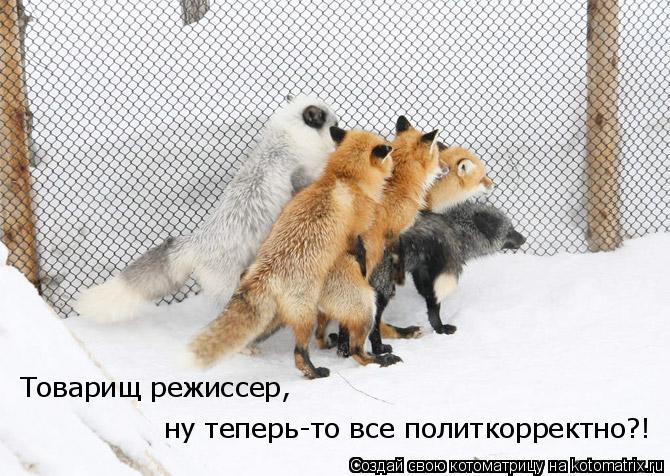 ну теперь-то все политкорректно?! Товарищ режиссер,... Котоматрица: ну теперь-то все политкорректно?! Товарищ режиссер,