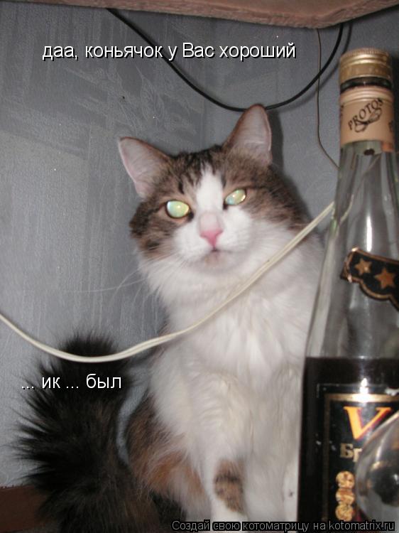 даа, коньячок у Вас хороший ... ик ... был... Котоматрица: даа, коньячок у Вас хороший ... ик ... был
