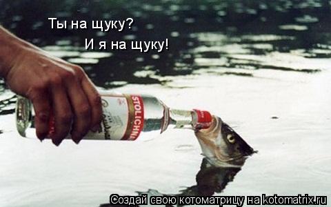 Ты на щуку? И я на щуку!... Котоматрица: Ты на щуку? И я на щуку!
