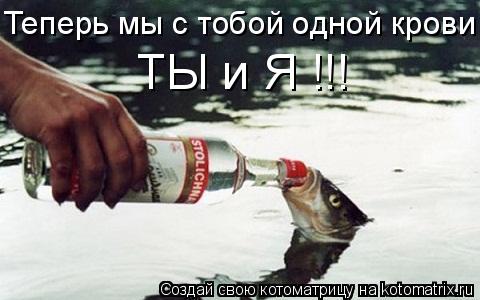 Теперь мы с тобой одной крови! ТЫ и Я !!!... Котоматрица: Теперь мы с тобой одной крови! ТЫ и Я !!!