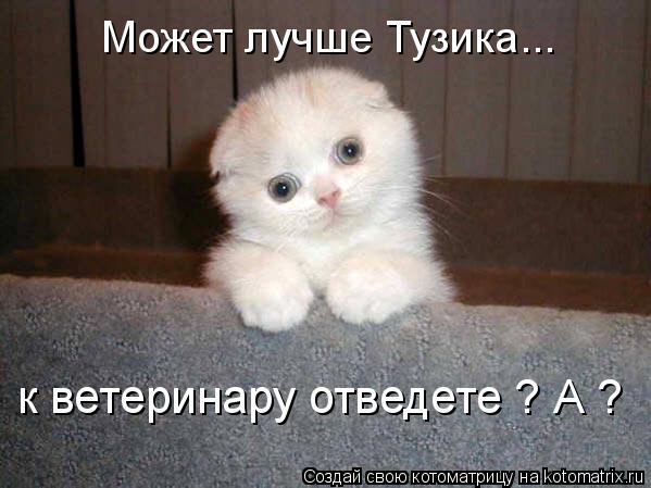 Может лучше Тузика... к ветеринару отведете ? А ?... Котоматрица: Может лучше Тузика... к ветеринару отведете ? А ?
