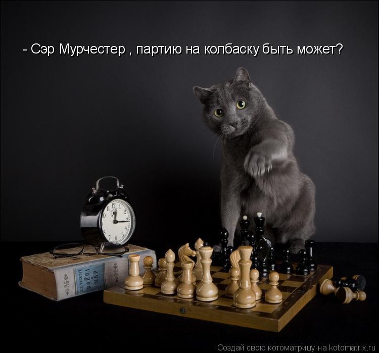 - Сэр Мурчестер , партию на колбаску быть может?... Котоматрица: - Сэр Мурчестер , партию на колбаску быть может?