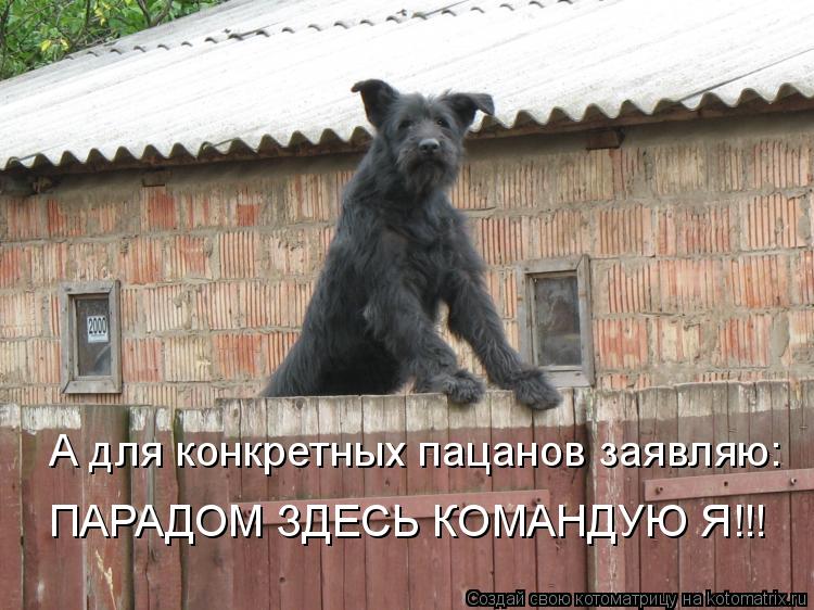 А для конкретных пацанов заявляю: ПАРАДОМ ЗДЕСЬ КОМАНДУЮ Я!!!... Котоматрица: А для конкретных пацанов заявляю: ПАРАДОМ ЗДЕСЬ КОМАНДУЮ Я!!!