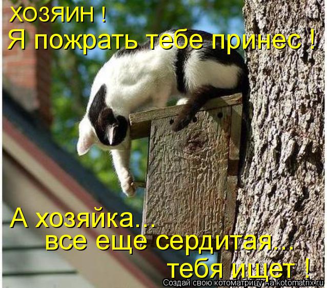 ХОЗЯИН ! Я пожрать тебе принес ! А хозяйка... все еще сердитая... тебя ищет !... Котоматрица: ХОЗЯИН ! Я пожрать тебе принес ! А хозяйка... все еще сердитая... тебя ищет !