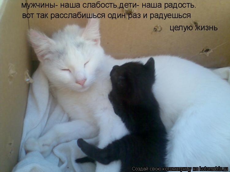 мужчины- наша слабость,дети- наша радость. вот так расслабишься один раз и радуешься целую жизнь... Котоматрица: мужчины- наша слабость,дети- наша радость. вот так расслабишься один раз и радуешься целую жизнь