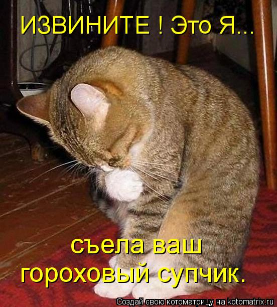 ИЗВИНИТЕ ! Это Я... съела ваш гороховый супчик.... Котоматрица: ИЗВИНИТЕ ! Это Я... съела ваш гороховый супчик.