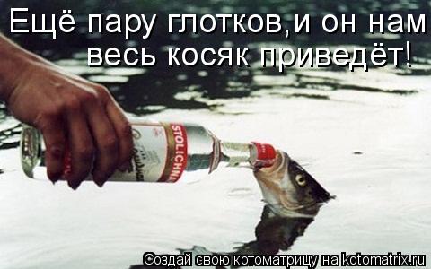 Ещё пару глотков,и он нам весь косяк приведёт!... Котоматрица: Ещё пару глотков,и он нам весь косяк приведёт!