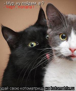 - Мур, ну пойдем, а ? - Черт , попала ! ..... Котоматрица: - Мур, ну пойдем, а ? - Черт , попала ! ..