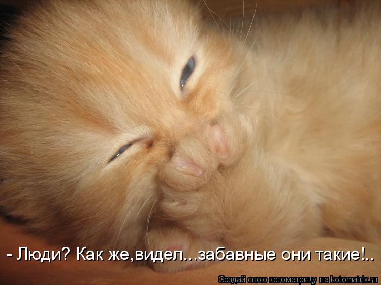 - Люди? Как же,видел...забавные они такие!..... Котоматрица: - Люди? Как же,видел...забавные они такие!..