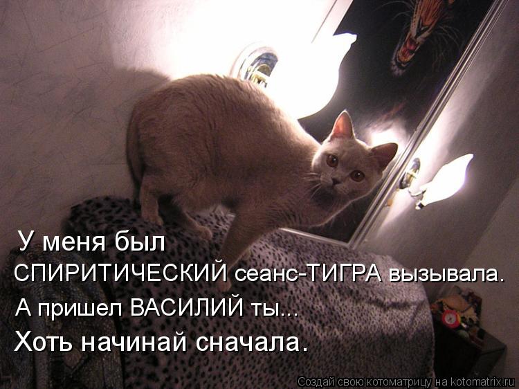 У меня был СПИРИТИЧЕСКИЙ сеанс-ТИГРА вызывала. А пришел ВАСИЛИЙ ты... Хоть начинай сначала.... Котоматрица: У меня был СПИРИТИЧЕСКИЙ сеанс-ТИГРА вызывала. А пришел ВАСИЛИЙ ты... Хоть начинай сначала.