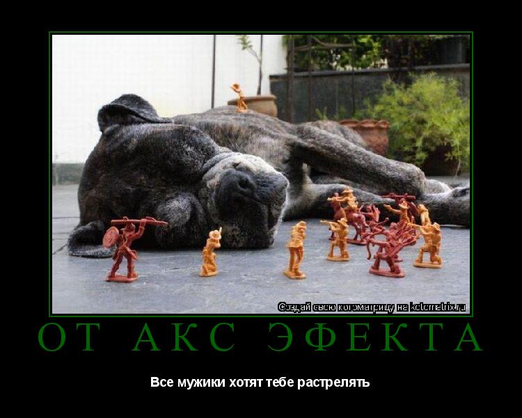 Котоматрица: От акс эфекта Все мужики хотят тебе растрелять
