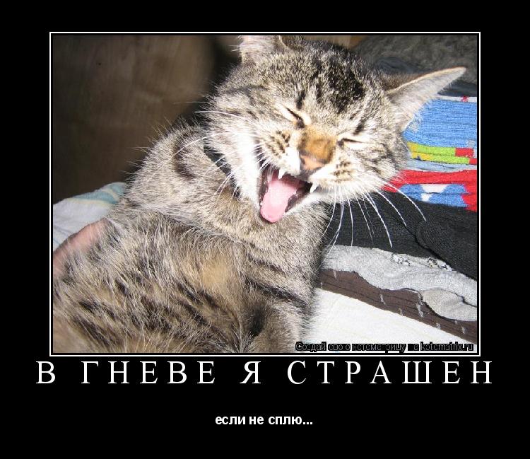 В гневе я страшен если не сплю...... Котоматрица: В гневе я страшен если не сплю...