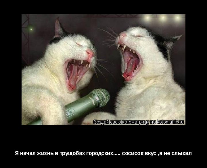 Певцы Я начал жизнь в трущобах городских..... сосисок вкус ,я не слыхал... Котоматрица: Певцы Я начал жизнь в трущобах городских..... сосисок вкус ,я не слыхал