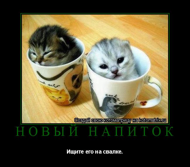 Новый напиток Ищите его на свалке.... Котоматрица: Новый напиток Ищите его на свалке.