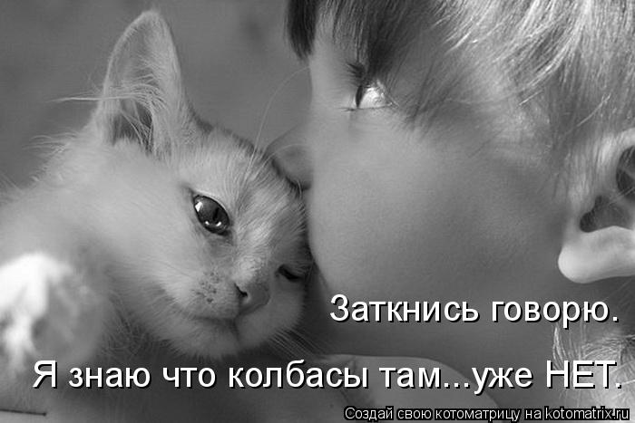 Котоматрица: Заткнись говорю. Я знаю что колбасы там...уже НЕТ.