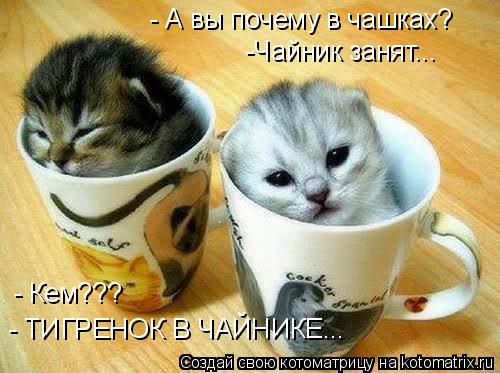 Котоматрица: -Чайник занят... - А вы почему в чашках? - Кем??? - ТИГРЕНОК В ЧАЙНИКЕ...