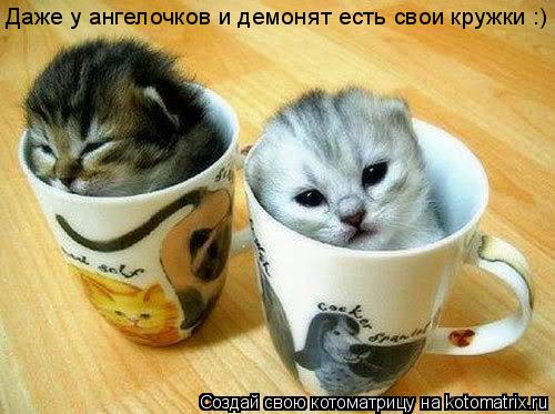 Даже у ангелочков и демонят есть свои кружки :)... Котоматрица: Даже у ангелочков и демонят есть свои кружки :)
