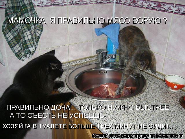 -МАМОЧКА, Я ПРАВИЛЬНО МЯСО ВОРУЮ ? -ПРАВИЛЬНО,ДОЧА... ТОЛЬКО НУЖНО БЫСТРЕЕ, А ТО СЪЕСТЬ НЕ УСПЕЕШЬ- Х... Котоматрица: -МАМОЧКА, Я ПРАВИЛЬНО МЯСО ВОРУЮ ? -ПРАВИЛЬНО,ДОЧА... ТОЛЬКО НУЖНО БЫСТРЕЕ, А ТО СЪЕСТЬ НЕ УСПЕЕШЬ- ХОЗЯЙКА В ТУАЛЕТЕ БОЛЬШЕ ТРЕХ МИНУТ НЕ СИДИ