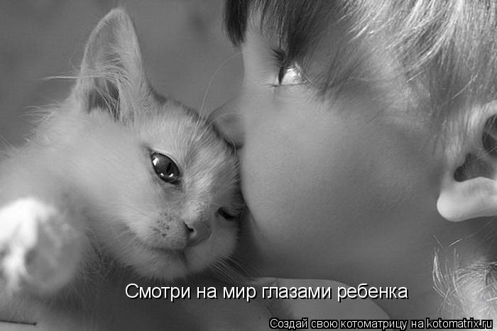 Котоматрица: Смотри на мир глазами ребенка
