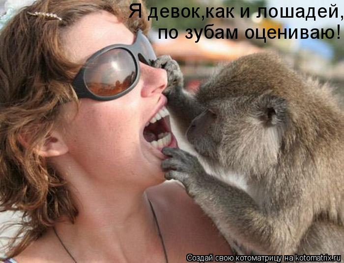 Котоматрица: Я девок,как и лошадей, по зубам оцениваю!