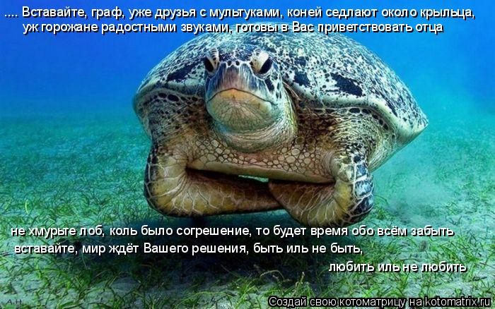 Котоматрица: .... Вставайте, граф, уже друзья с мультуками, коней седлают около крыльца, уж горожане радостными звуками, готовы в Вас приветствовать отца н