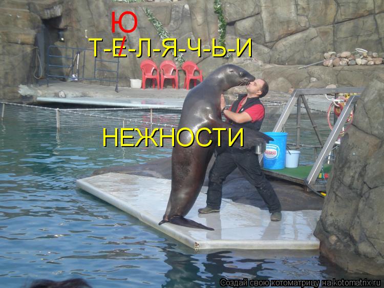 Котоматрица: Т-Е-Л-Я-Ч-Ь-И  / НЕЖНОСТИ  Ю