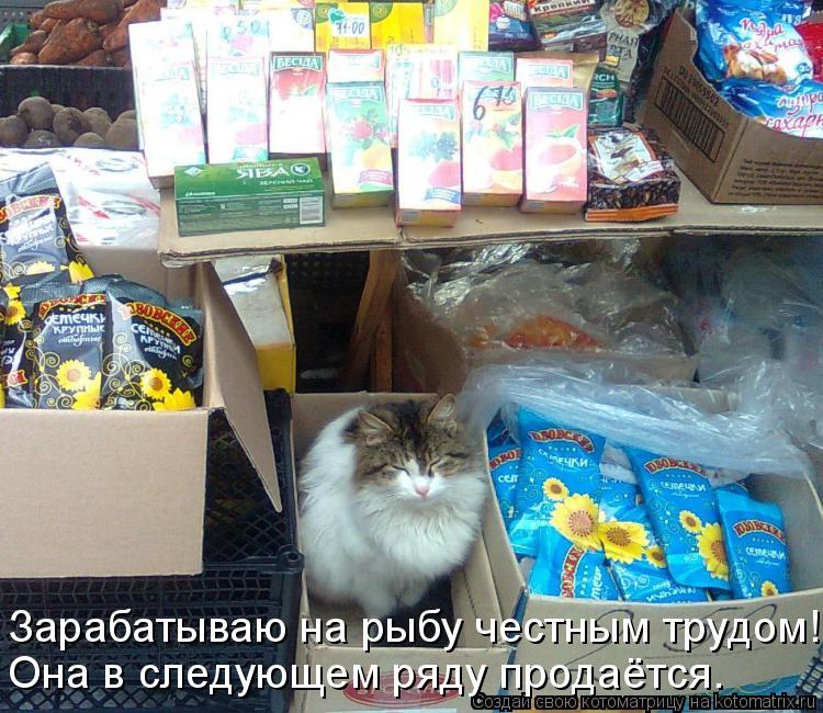 Зарабатываю на рыбу честным трудом! Она в следующем ряду продаётся.... Котоматрица: Зарабатываю на рыбу честным трудом! Она в следующем ряду продаётся.