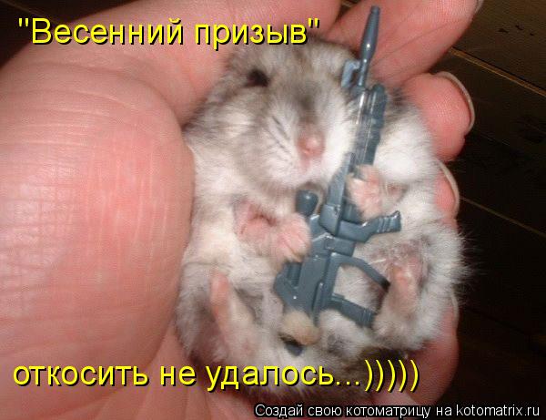 "Весенний призыв" откосить не удалось...)))))... Котоматрица: "Весенний призыв" откосить не удалось...)))))