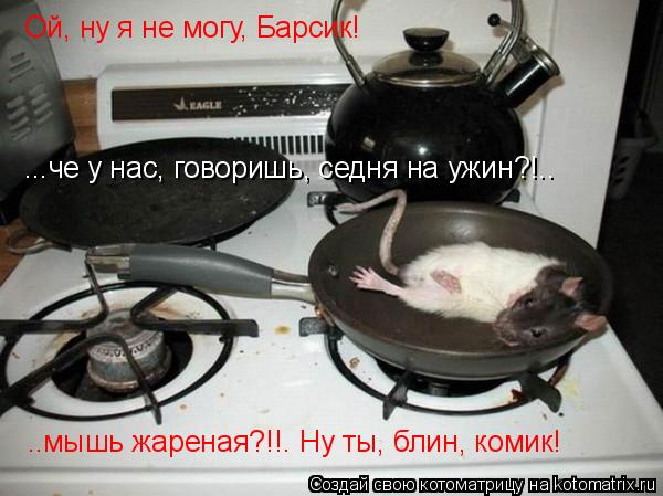 Ой, ну я не могу, Барсик! ...че у нас, говоришь, седня на ужин?!.. ..мышь жареная?!!. Ну ты, блин, ко... Котоматрица: Ой, ну я не могу, Барсик! ...че у нас, говоришь, седня на ужин?!.. ..мышь жареная?!!. Ну ты, блин, комик!