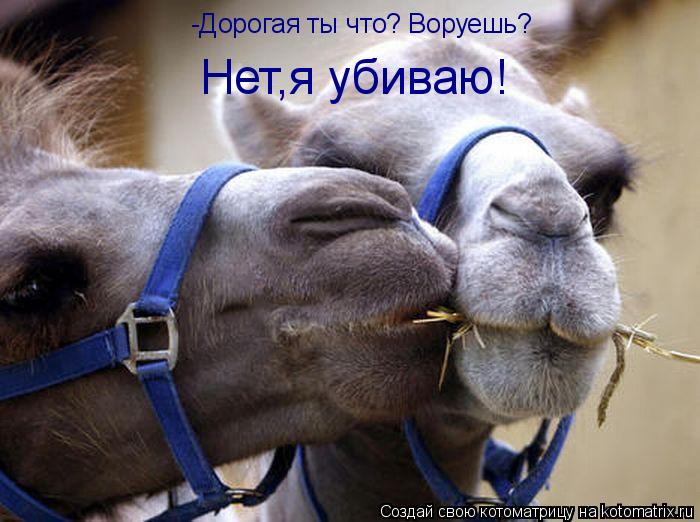 -Дорогая ты что? Bоруешь? Нет,я убиваю!... Котоматрица: -Дорогая ты что? Bоруешь? Нет,я убиваю!