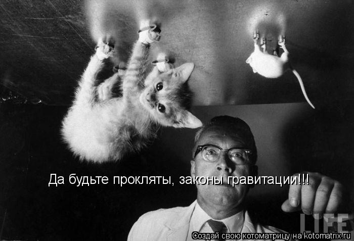 Да будьте прокляты, законы гравитации!!!... Котоматрица: Да будьте прокляты, законы гравитации!!!