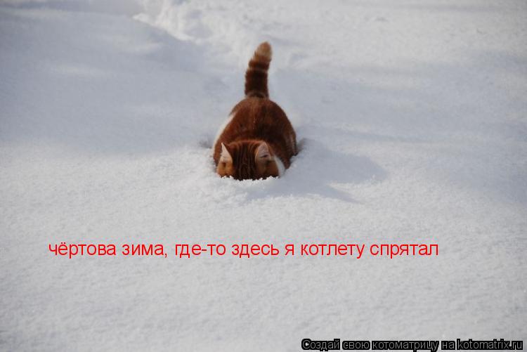 чёртова зима, где-то здесь я котлету спрятал... Котоматрица: чёртова зима, где-то здесь я котлету спрятал