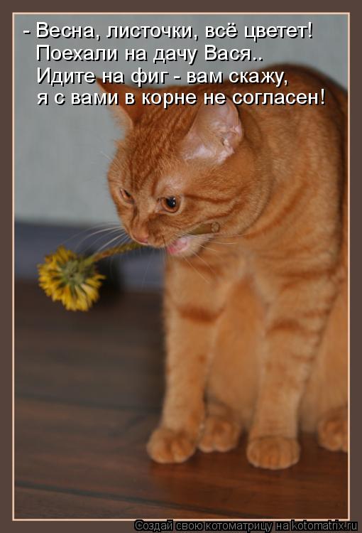 - Весна, листочки, всё цветет! Поехали на дачу Вася.. Идите на фиг - вам скажу, я с вами в корне не ... Котоматрица: - Весна, листочки, всё цветет! Поехали на дачу Вася.. Идите на фиг - вам скажу, я с вами в корне не согласен!